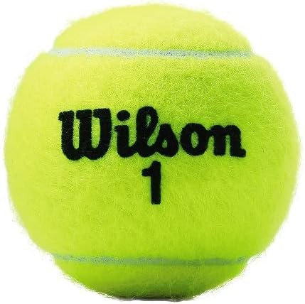 WILSON Championship Tennis Balls