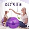 Peanut Ball – Anti Burst Ball for Exercise, Labor, Birthing, Dog Training, Kids, Home & Gym Fitness, Physio Roll, Yoga Balance, Flexible Seating for Classroom & Office - Pump Included